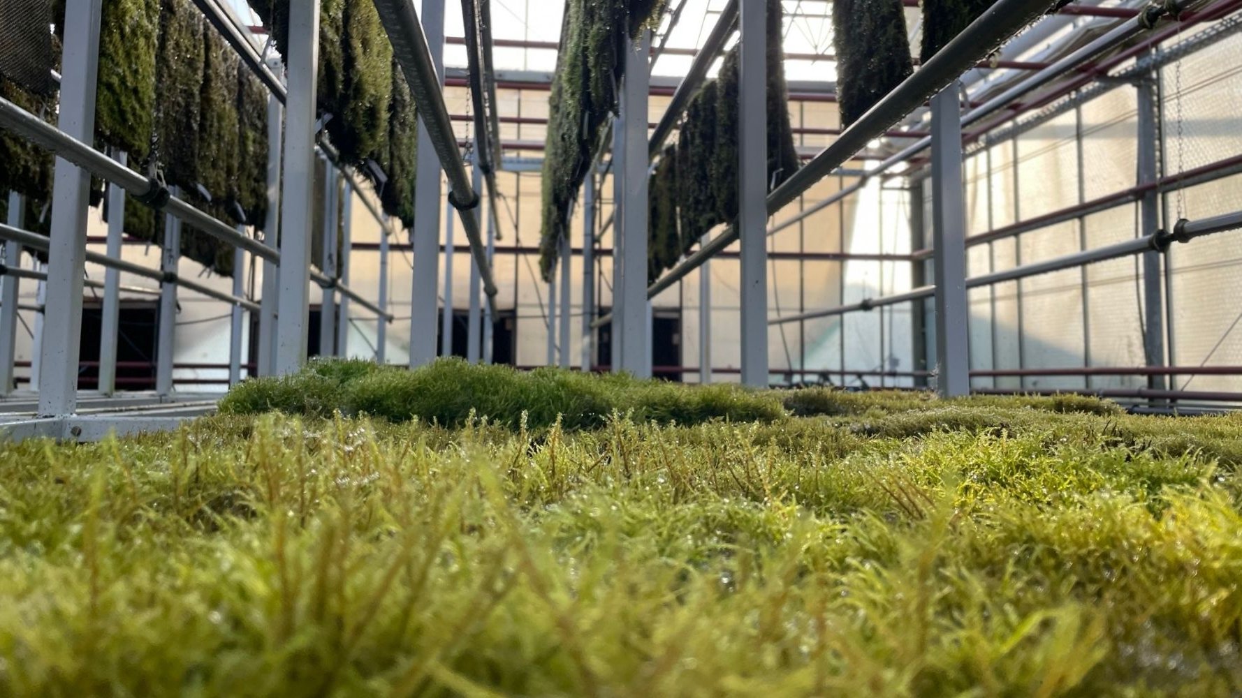 Des solutions pour faire respirer la ville autrement