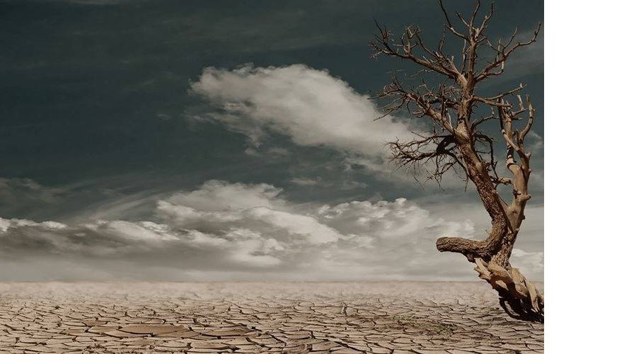 Les changements climatiques - conférence