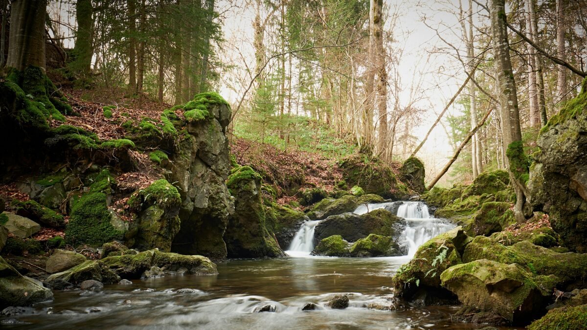 Comprendre le voyage de l'eau du Luxembourg et ce qui la menace !