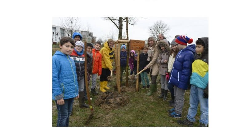 Nationalen Dag vum Bam 2015