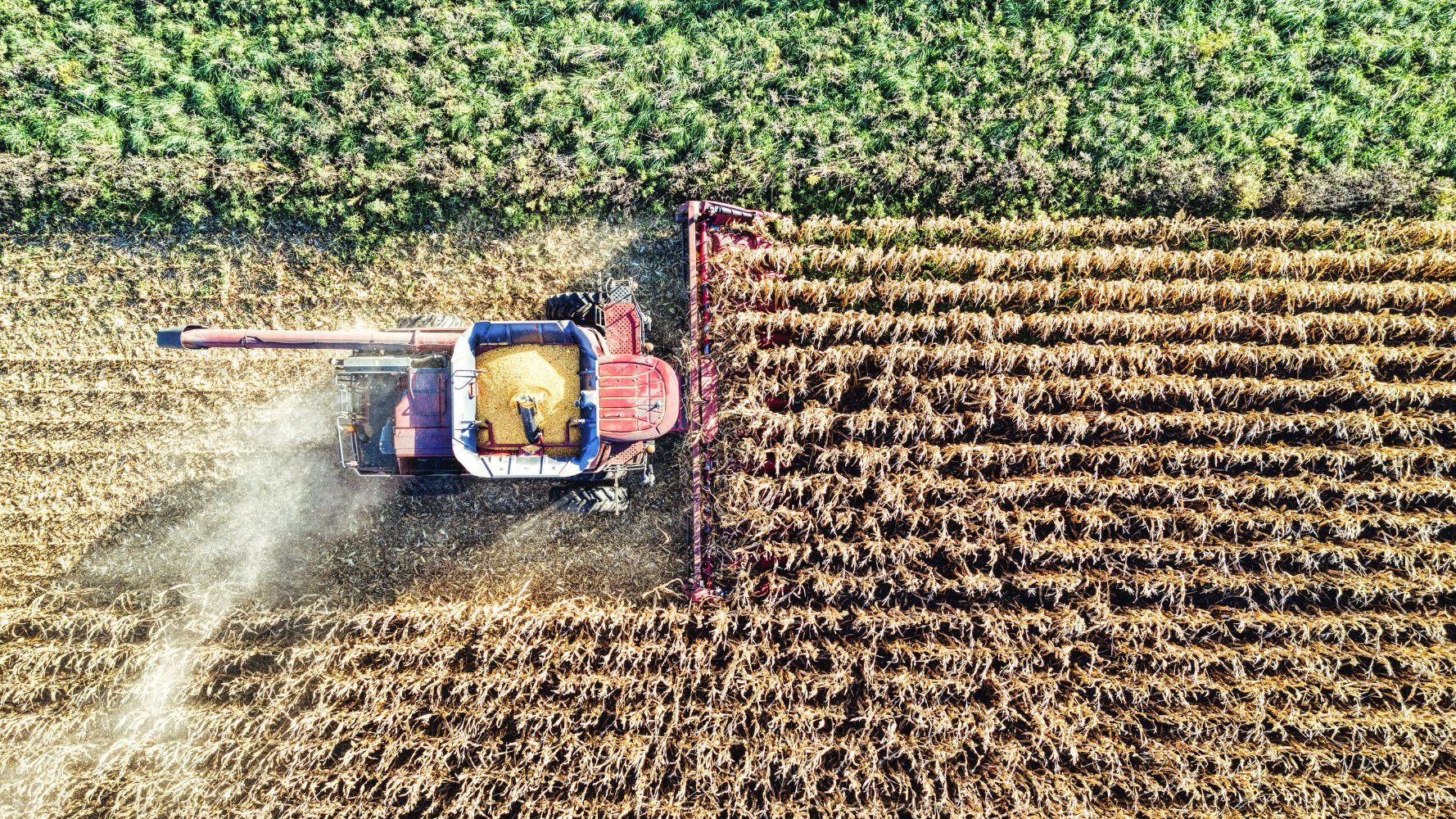 L'UE dérèglemente les plantes modifiées et inquiète Meng Agriculture
