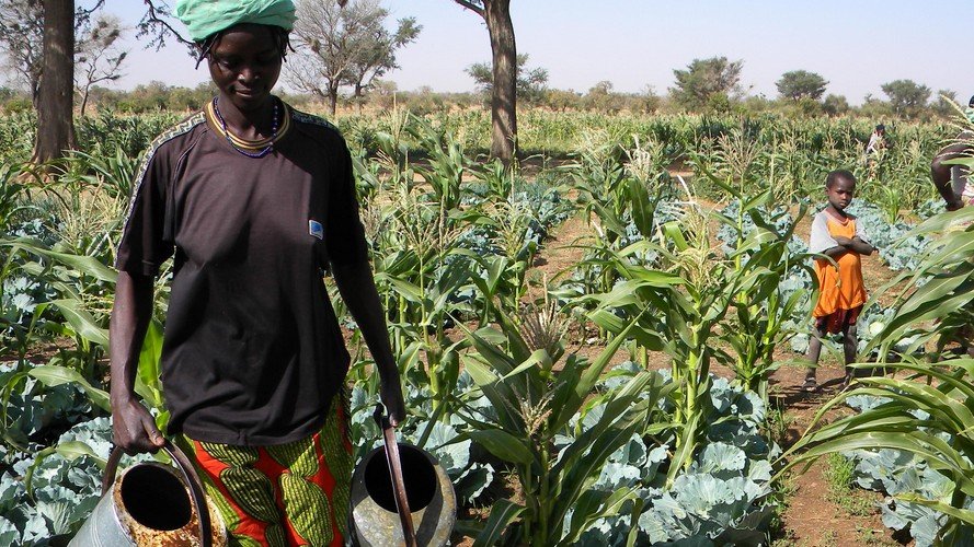 NATURATA & SOS Faim : Ensemble pour un développement durable des zones rurales du Sud-Kivu