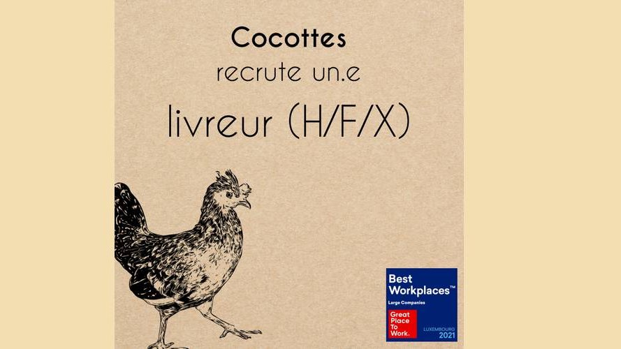 Cocottes recrute !