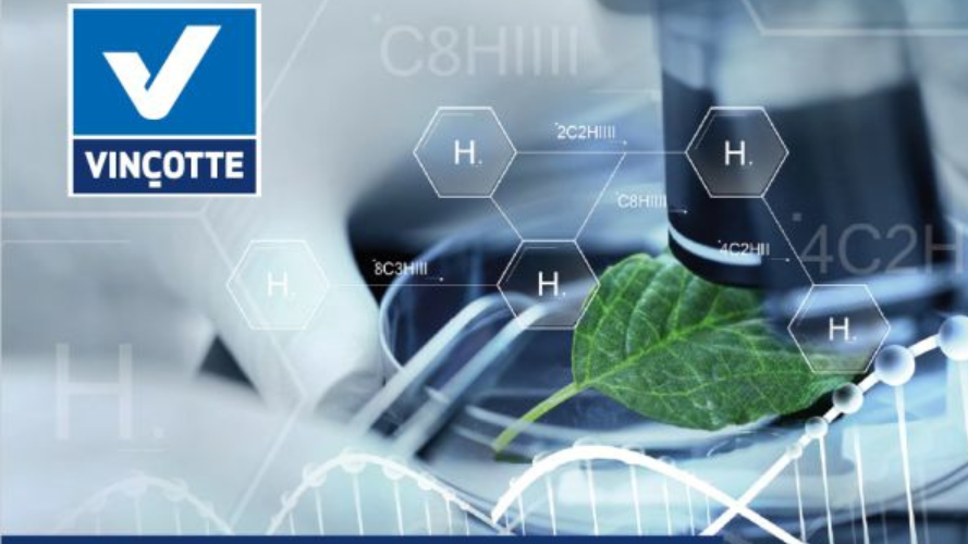 Vinçotte provides solutions for hydrogen projects from start to finish