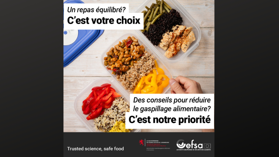 Campagne « Safe2Eat » 2024 : responsabiliser les consommateurs à travers l'Europe