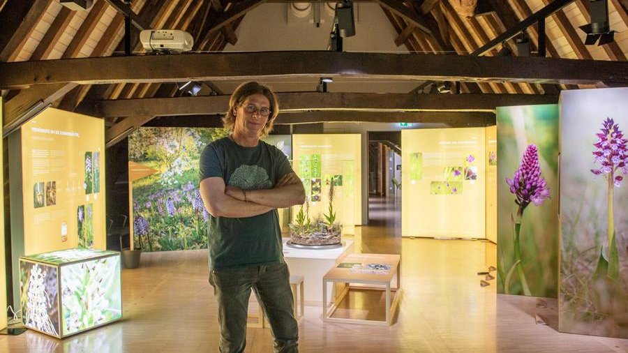 À s'y méprendre ! Orchidées sauvages au Luxembourg