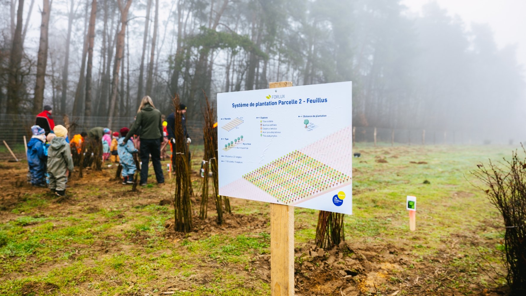 Une forêt expérimentale voit le jour à Eecherfeld