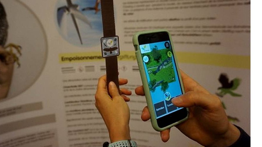 Rapaces au Luxembourg