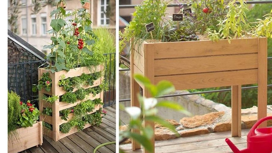 Atelier : Planifier mon potager pour le printemps