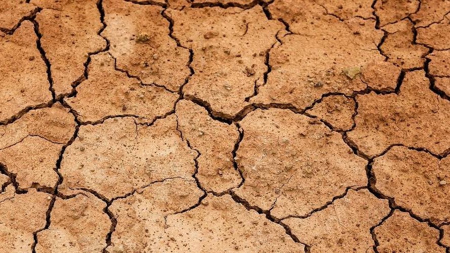 Meteorologische Analyse 2020 : wärmstes Jahr seit 1838 und Trockenheit prägen die Landwirtschaft