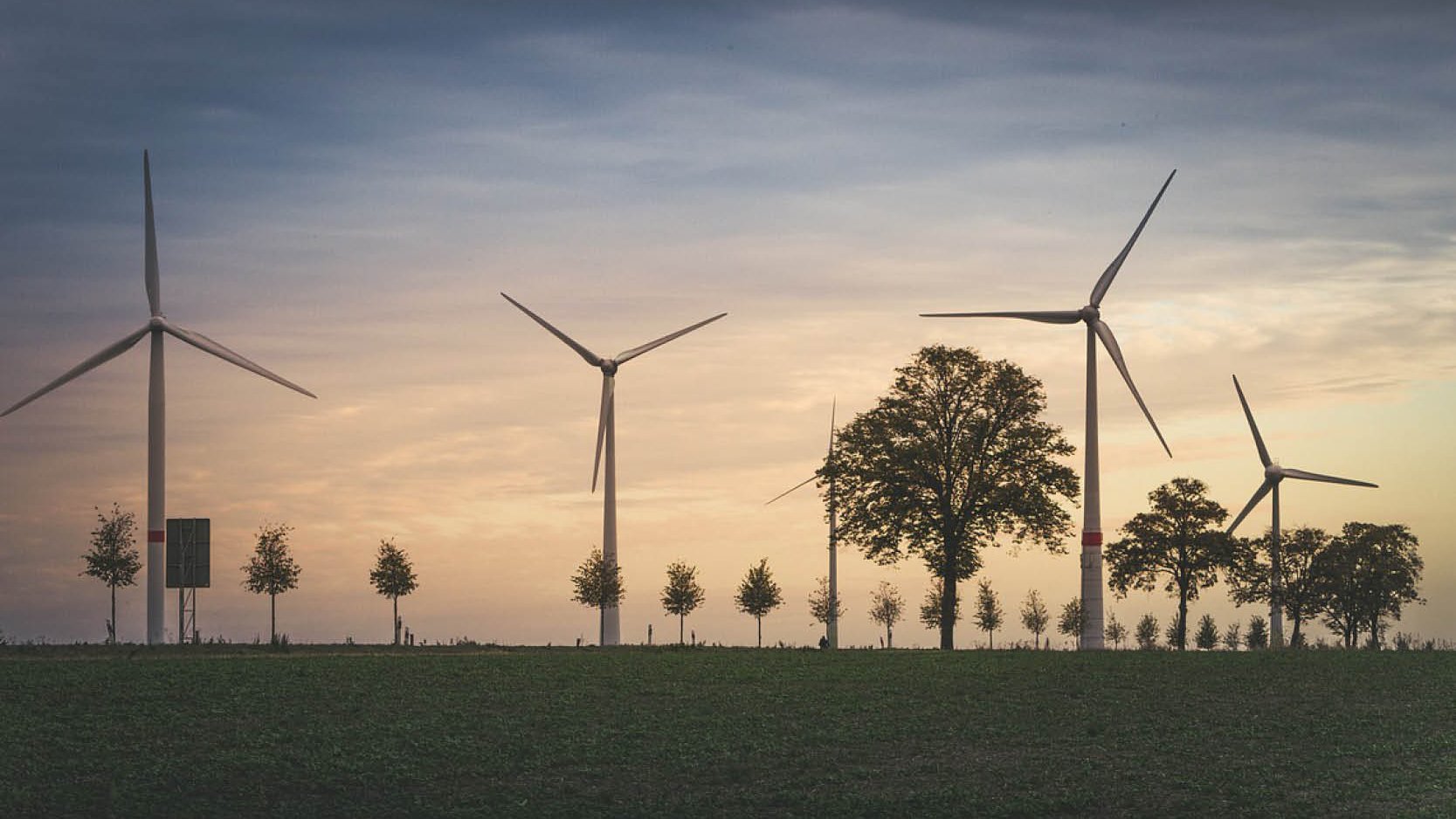 COP 30 : concilier climat et croissance, le dilemme européen