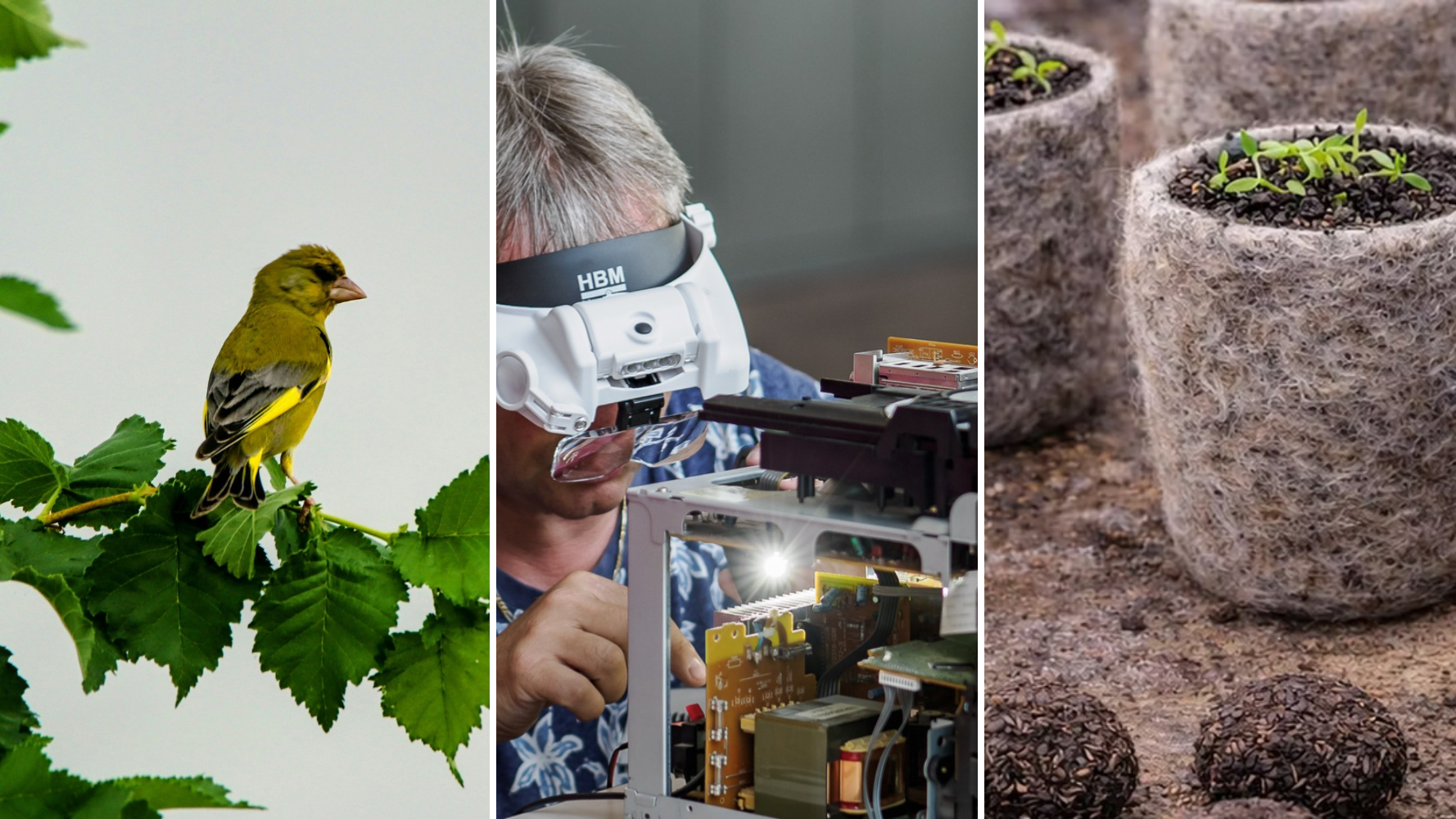 Les événements à ne pas manquer ce week-end - 28 février et 1er mars