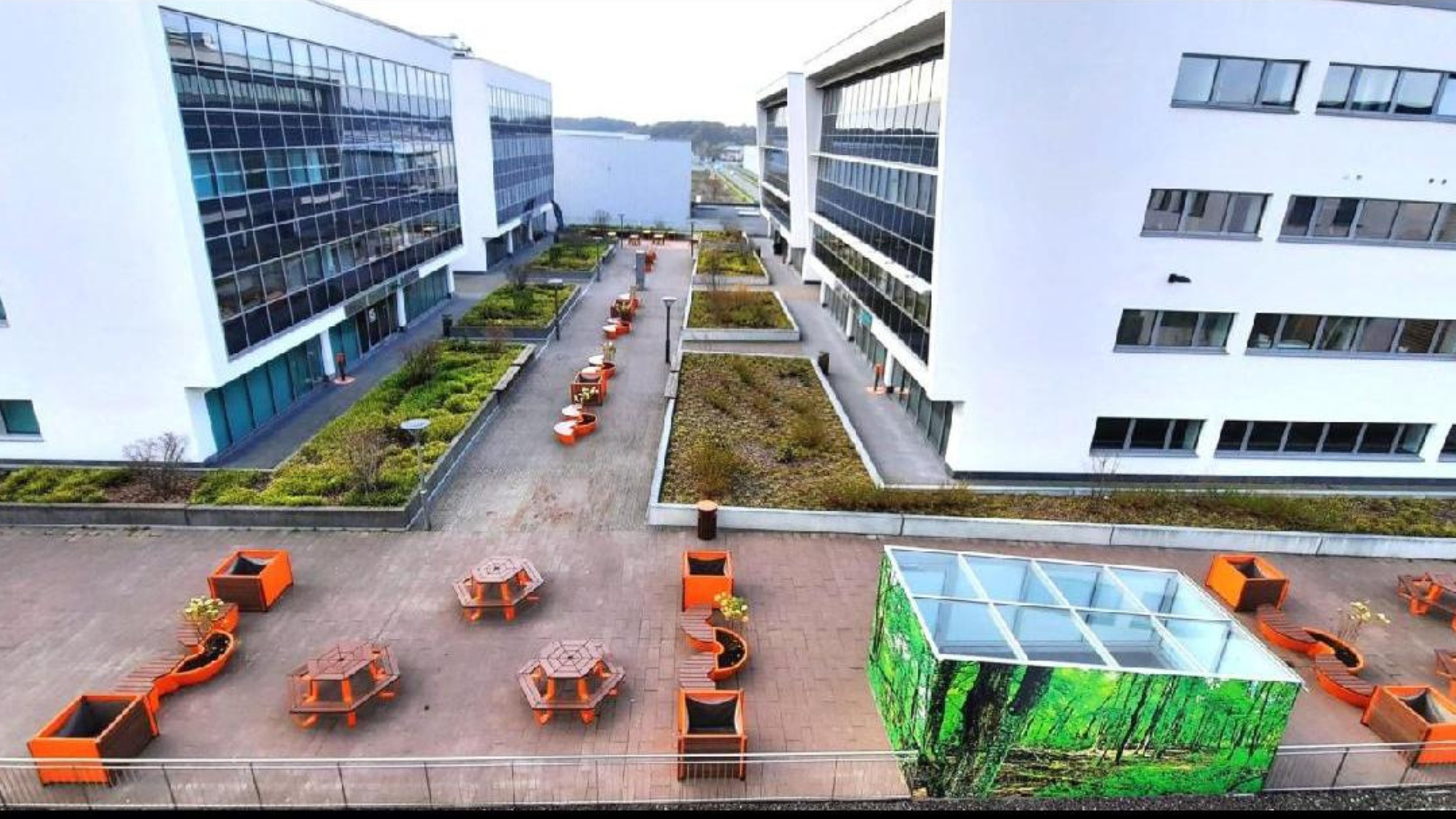 City Nature Challenge - Découvrez la biodiversité du Campus Contern
