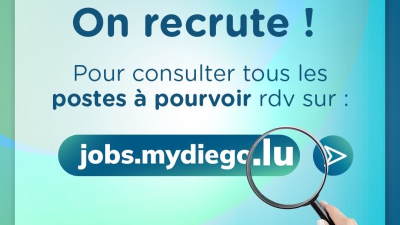 Développeur Odoo (m/f)