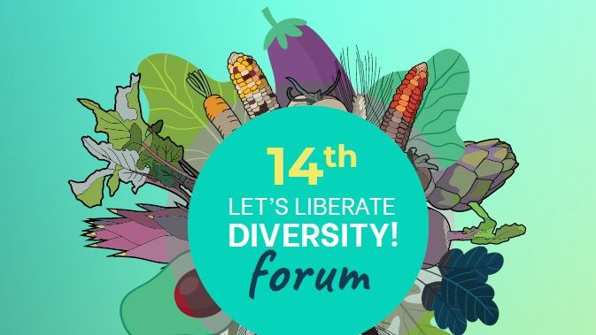 14e édition de Let's Liberate Diversity !