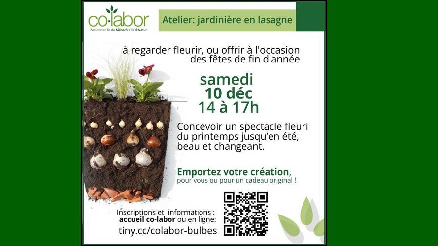 Atelier : jardinière en lasagne, à emporter ou offrir