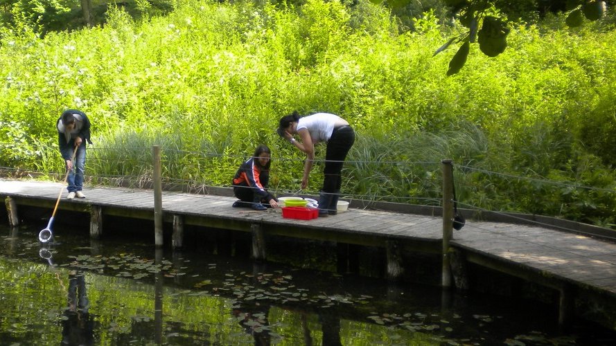 Les ingrédients durables d'un séjour mémorable