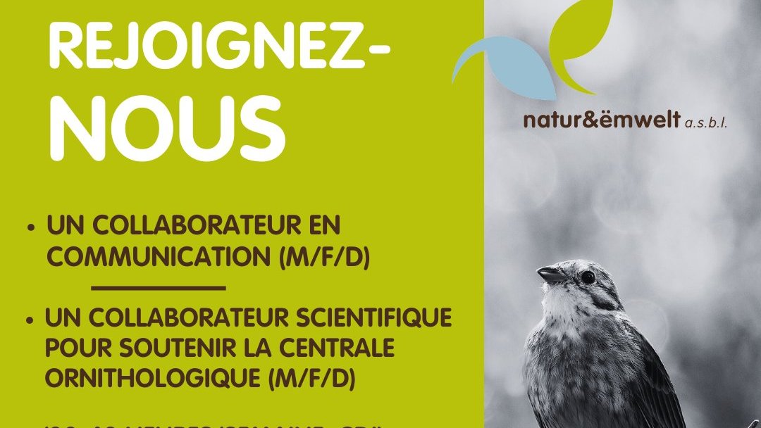Collaborateur (m/f) scientifique soutien la Centrale Ornithologique/natur&ëmwelt