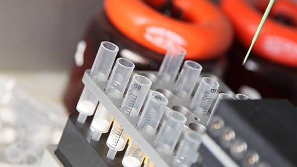 Football, samba et… biotechnologies