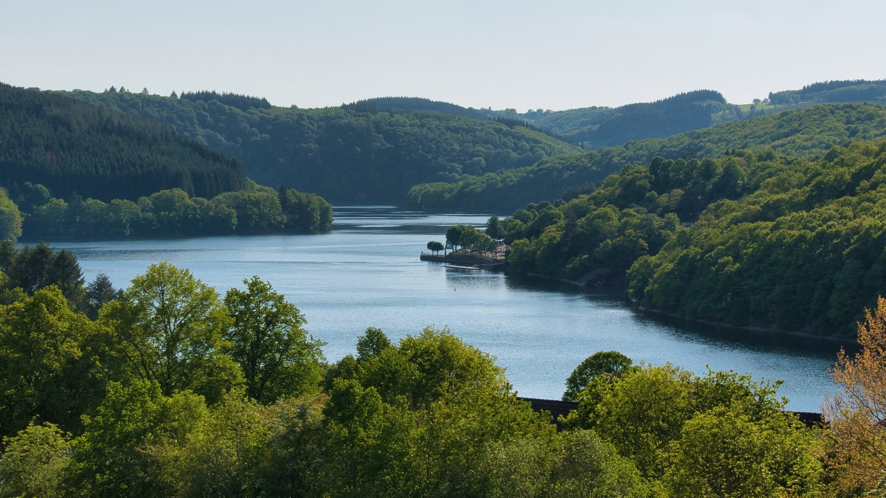 Les nouvelles technologies vont surveiller la prolifération des cyanobactéries