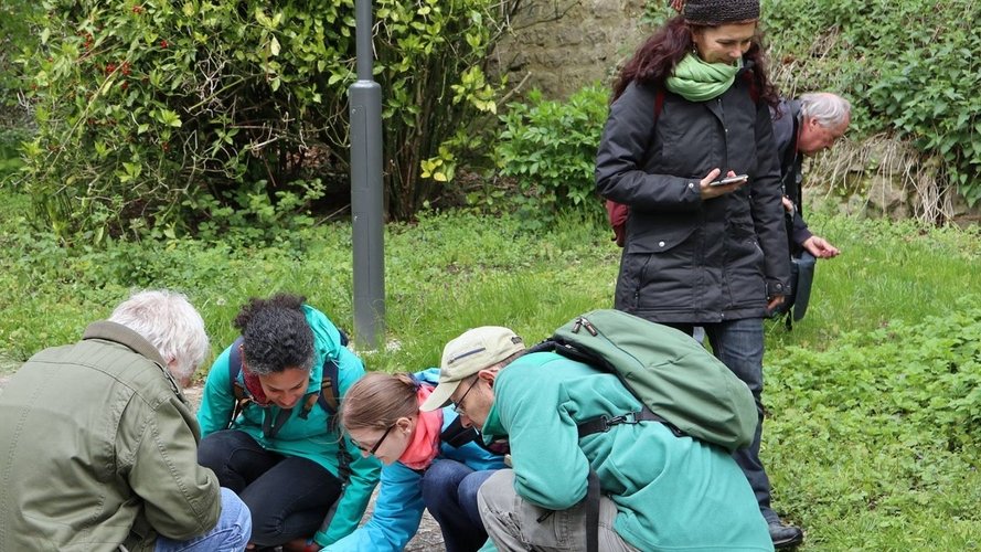 La science citoyenne au service de la biodiversité