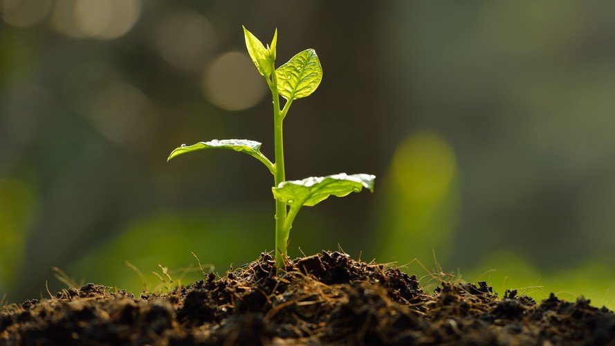 LuxFLAG octroie le label « Financement climatique » à NN (L) Euro Green Bond Fund
