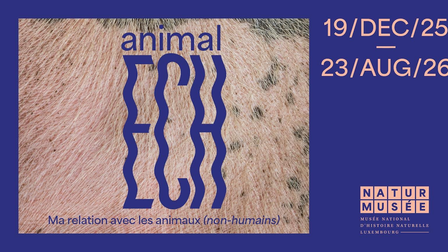 Animal ECH - nouvelles conférences
