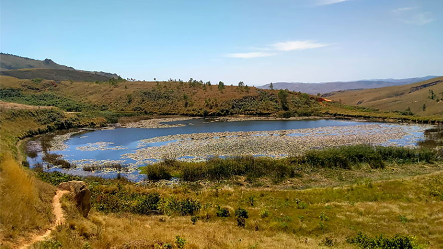 Solidarité pour soutenir le projet de reforestation et de soie sauvage