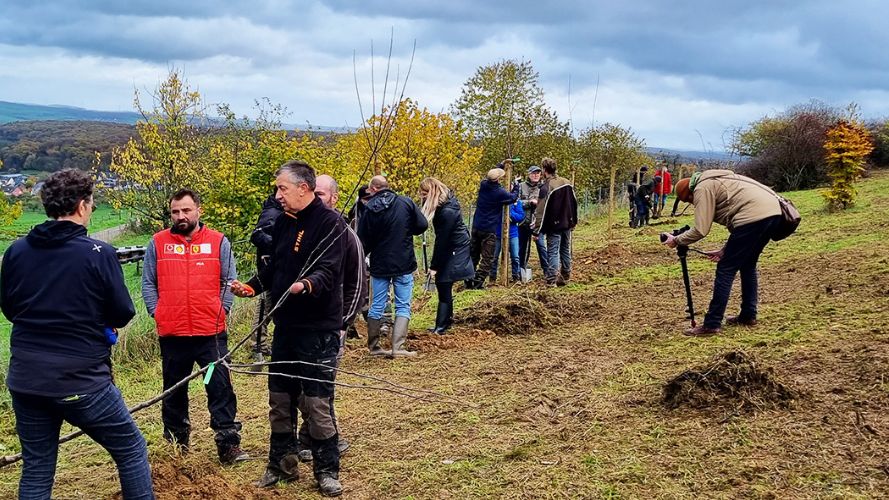 Les arbres à l'honneur pour la 30e fois