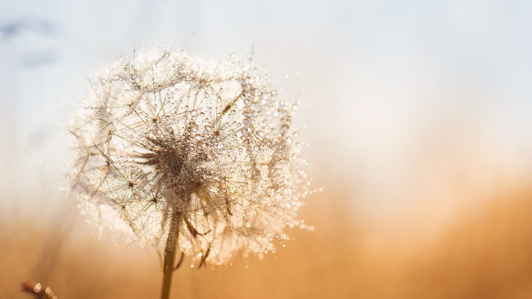 Fondation Hëllef fir d'Natur et natur&ëmwelt asbl : le rapport annuel 2023