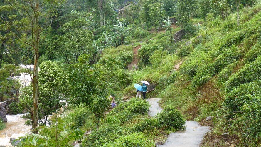 PADEM : Premières impressions de Karine, notre représentante au Sri Lanka !