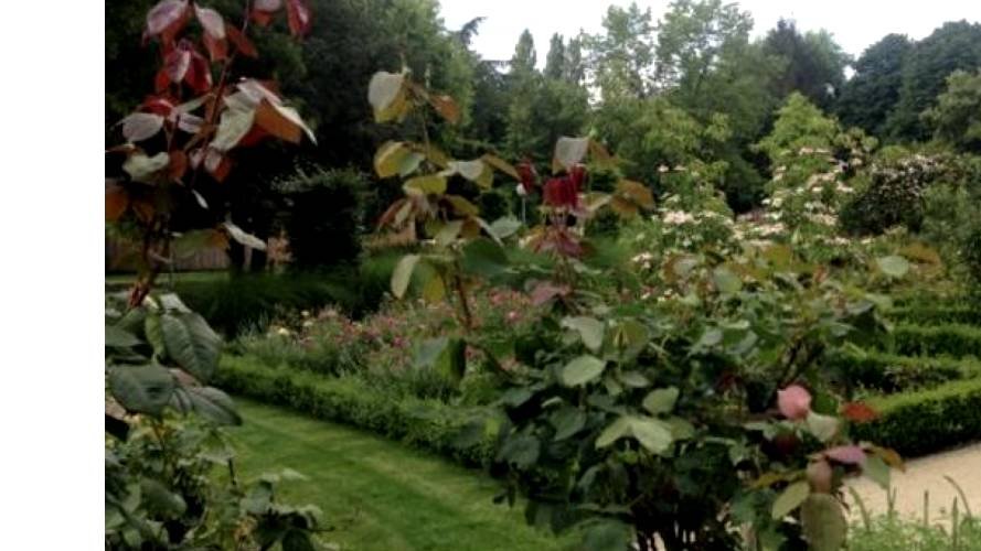 Le circuit des roses du Limpertsberg – RosaLi