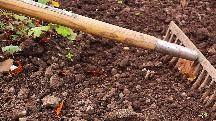 Des jardins intelligents pour contribuer à sauver les sols de la Terre