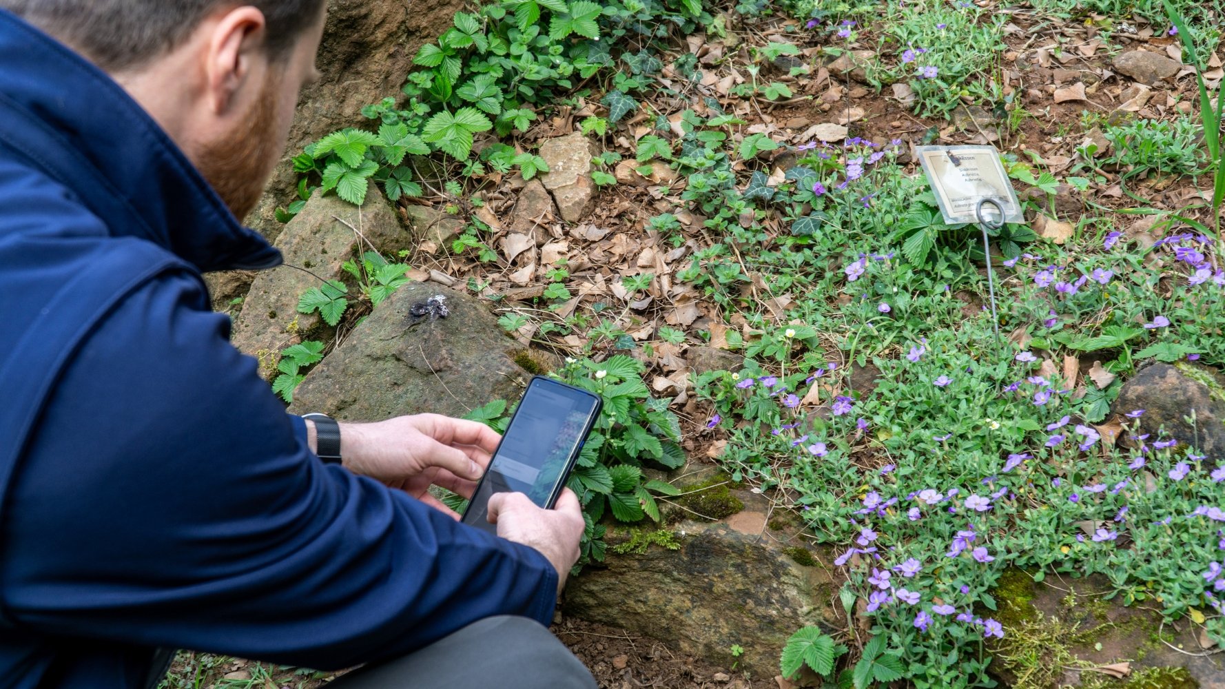 Contribuez à la recherche scientifique avec le City Nature Challenge