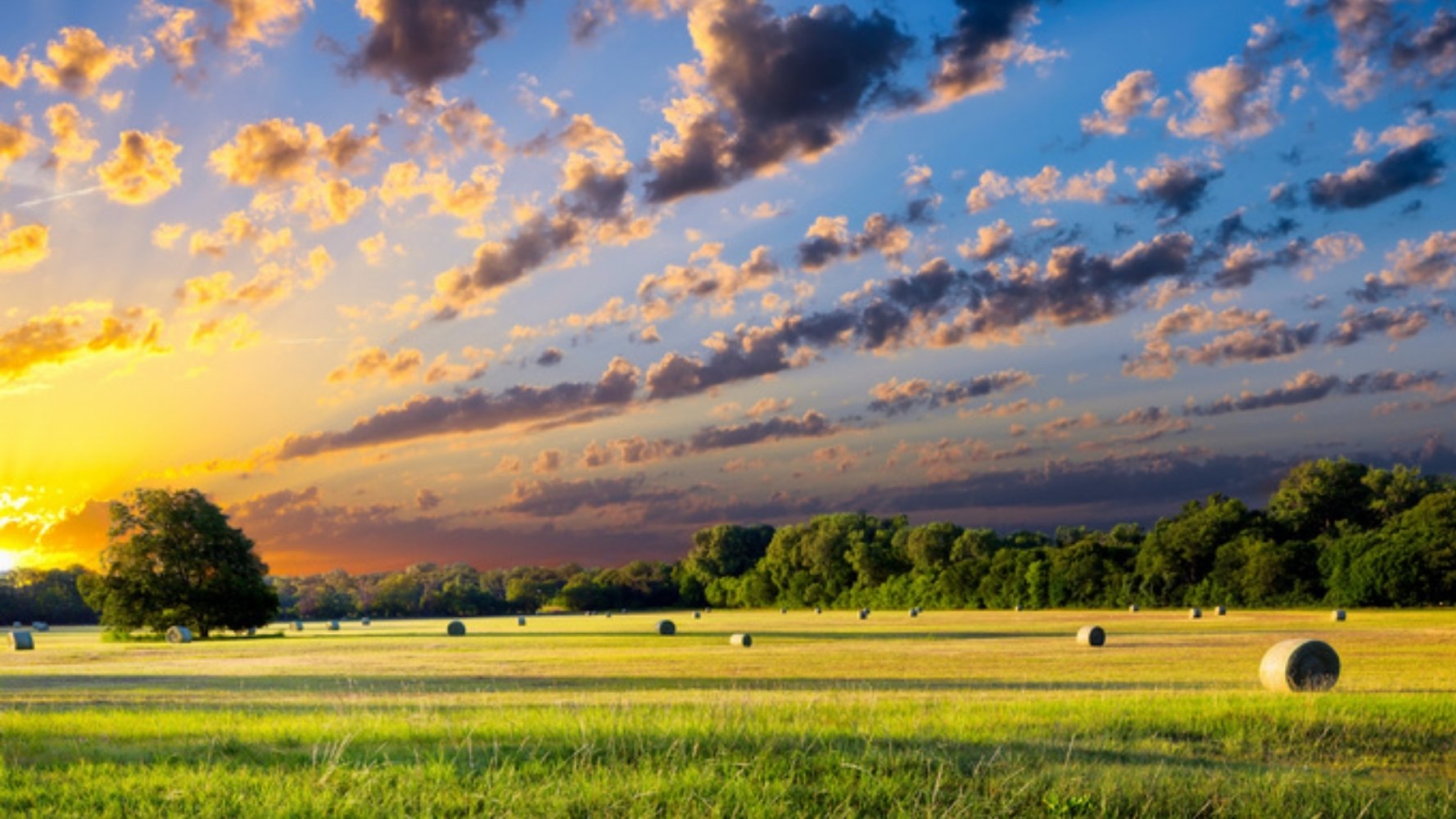 Une politique agricole gagnante pour le climat et la biodiversité