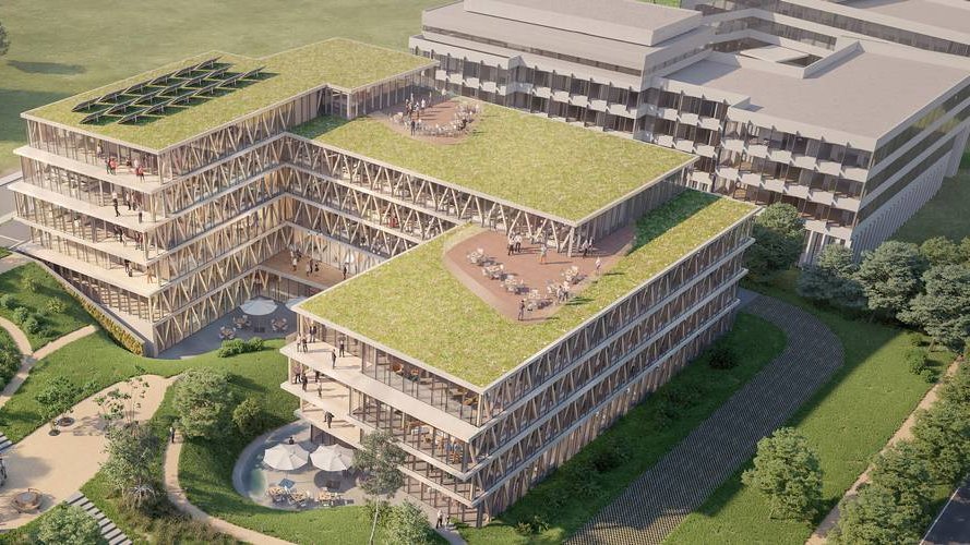 Wooden : une autre façon de travailler