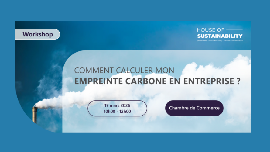 Comment calculer l'empreinte carbone de votre entreprise ?