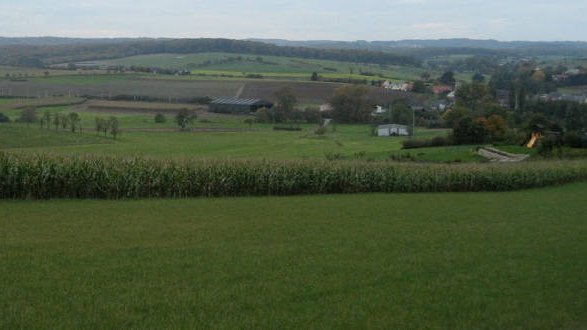 Ministère de l'Agriculture et Plan de développement rural : une conception problématique des processus de participation