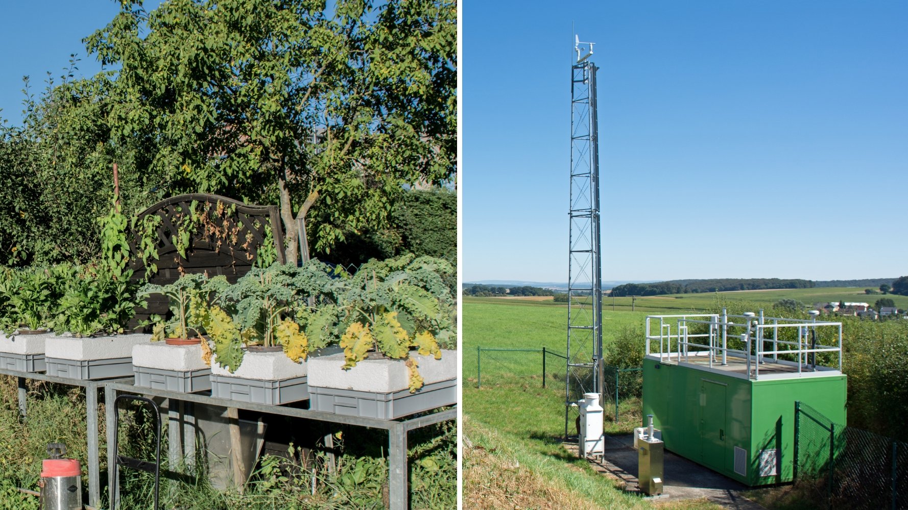 De la télémétrie aux choux pour contrôler la qualité de l'air luxembourgeois