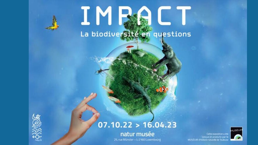 La Biodiversité en questions