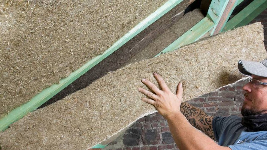Le choix de l'herbe pour une isolation durable