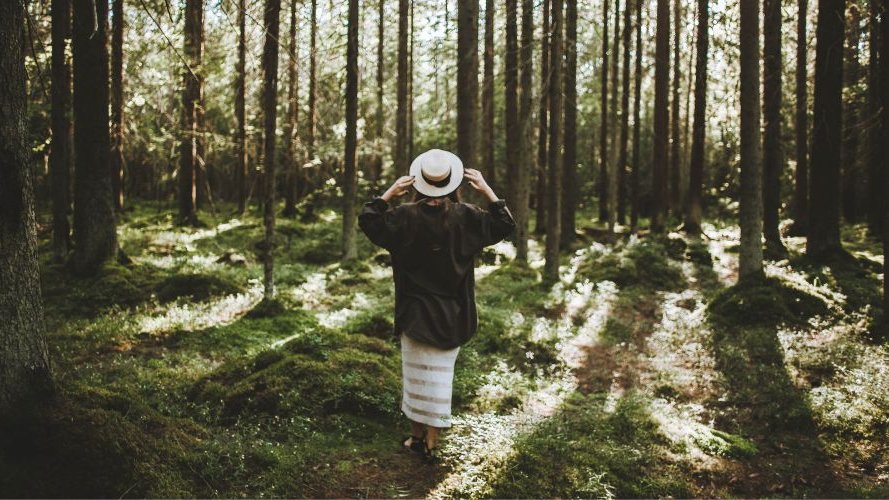 Forêt urbaine : éducative, trésor de biodiversité et espace de bien-être
