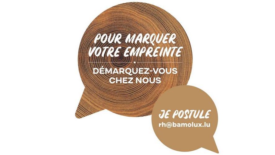 Bamolux recrute !
