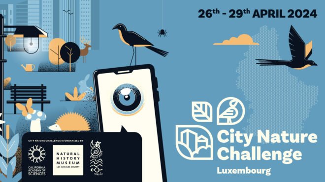 Découvertes de la biodiversité au Luxembourg : City Nature Challenge 2024