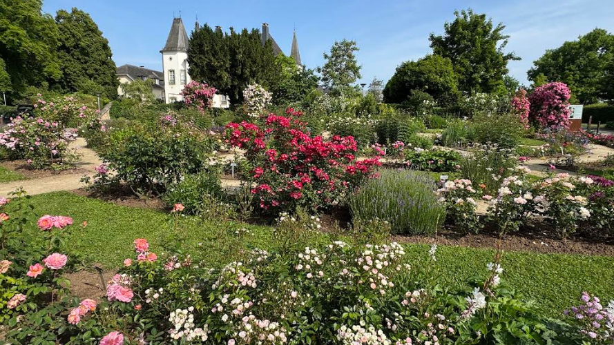 Erweiterung der Roseraie Château de Munsbach