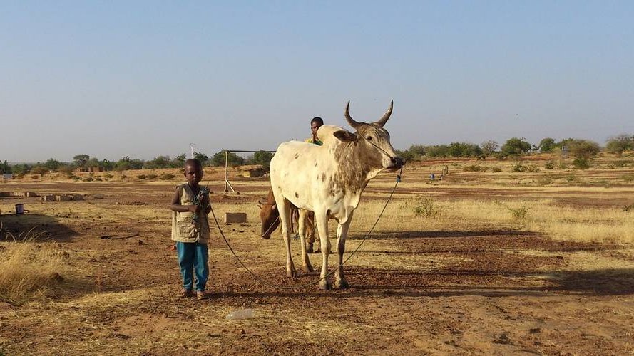 AGRI + Mieux financer l'agriculture familiale