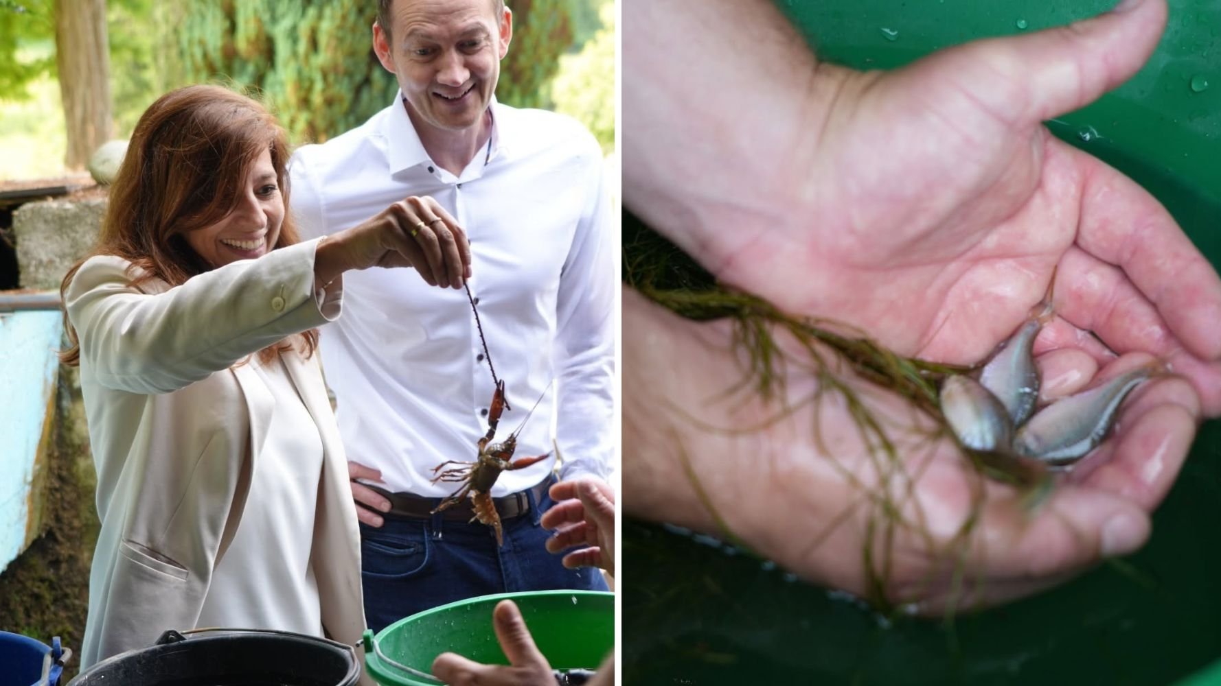 Pisciculture et canicule, la double bataille de l'eau au Luxembourg