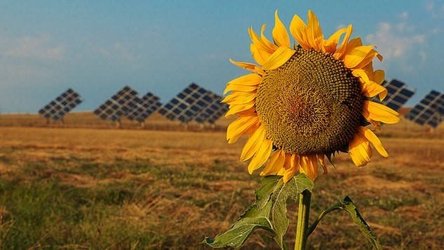 De la gestion des déchets à une économie verte
