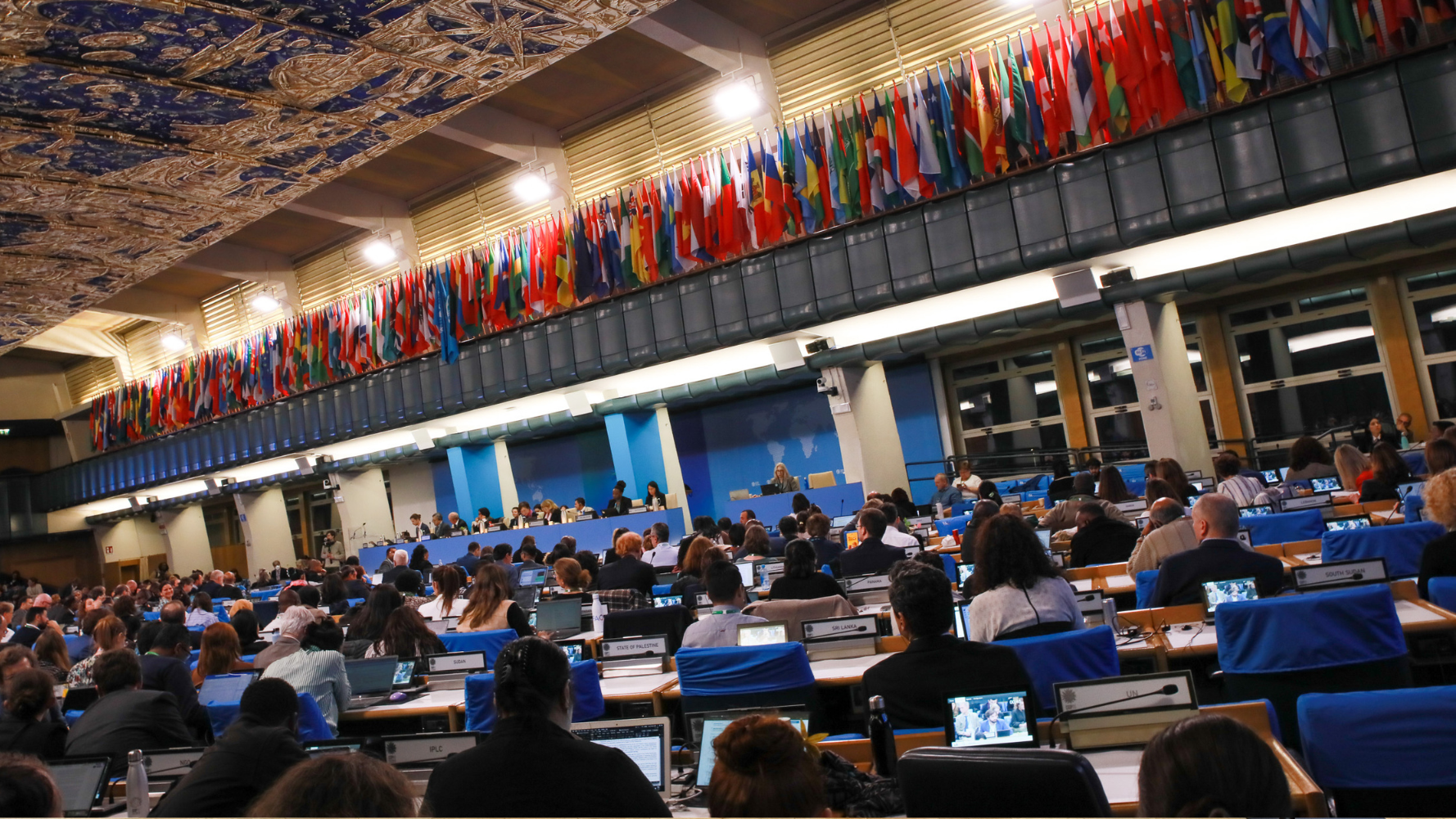 Governments agree on the way to mobilise resources to protect biodiversity