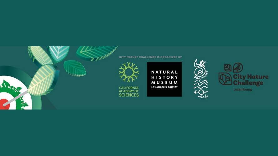 City Nature Challenge 2023